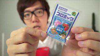 ハートマト栽培セットでトマト栽培開始！