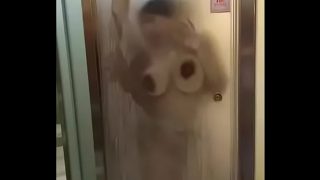 狂干了刚生孩子不久的大乳晕少妇