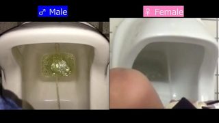 Comparison between female pissing and male pissing – 2