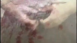 奴隷課長の休日出勤