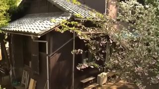 japonesa en el campo