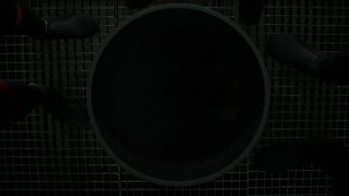 LCDP – 3.4
